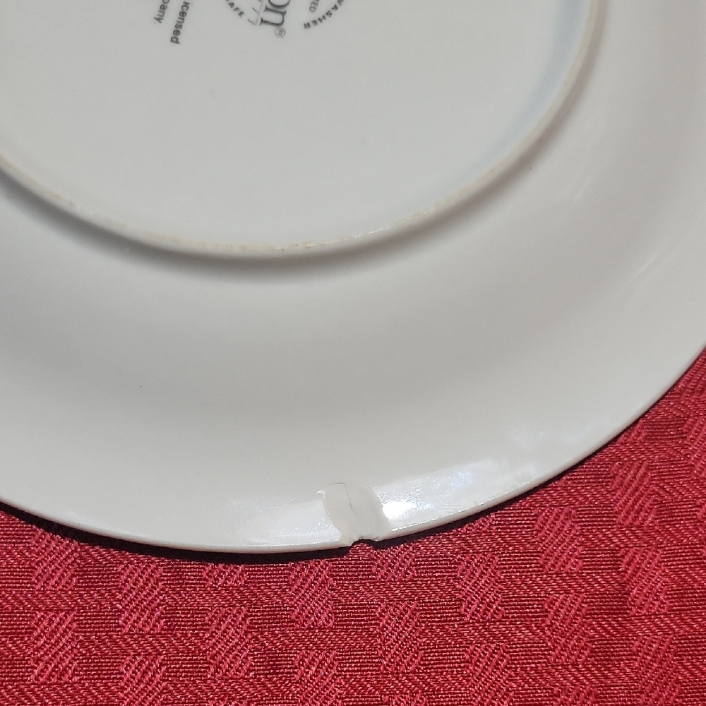 Cambell's Colorful Fruit Pattern Dinnerware Set - Picture 5 of 5